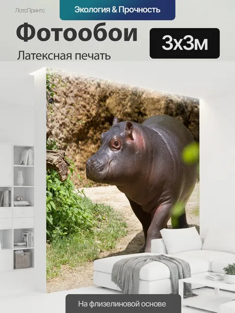 300 × 300 см · Латексная печать