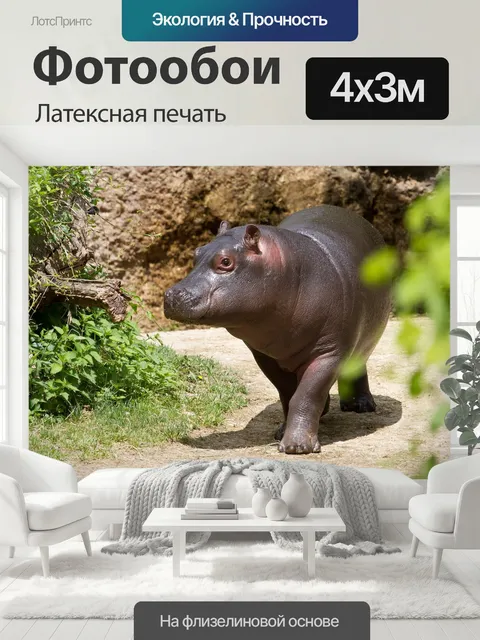 400 × 300 см · Латексная печать