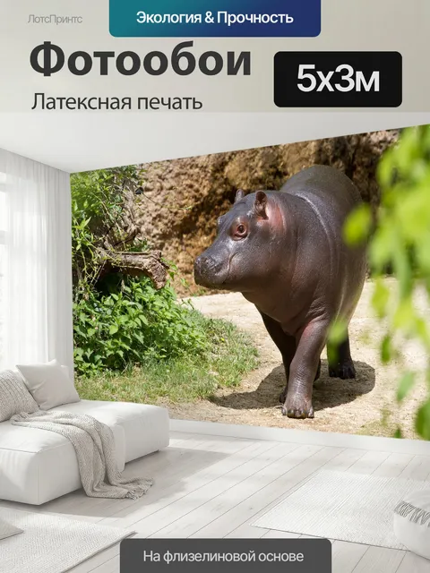 500 × 300 см · Латексная печать