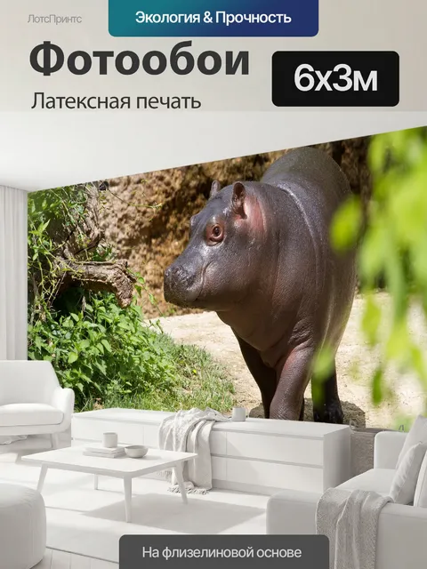 600 × 300 см · Латексная печать