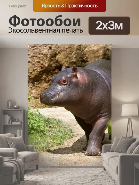 200 × 300 см · Экосольвентная печать