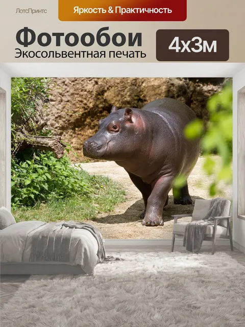 400 × 300 см · Экосольвентная печать