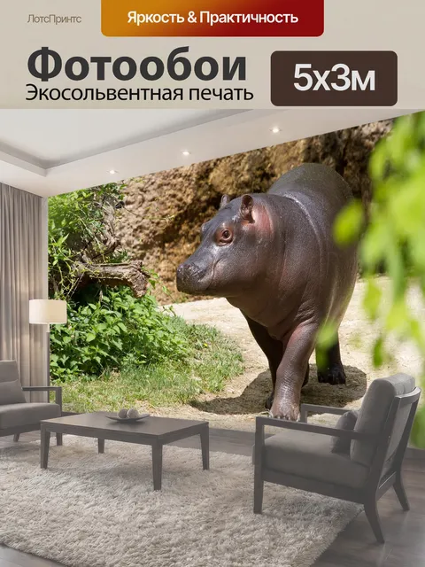 500 × 300 см · Экосольвентная печать