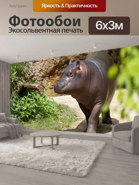 600 × 300 см · Экосольвентная печать