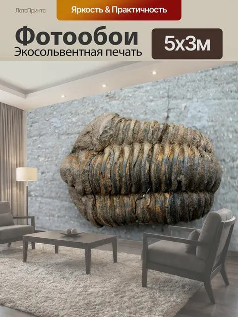 Фотообои Ископаемые, трилобиты, окаменелости