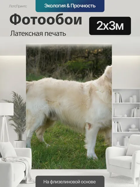 200 × 300 см · Латексная печать