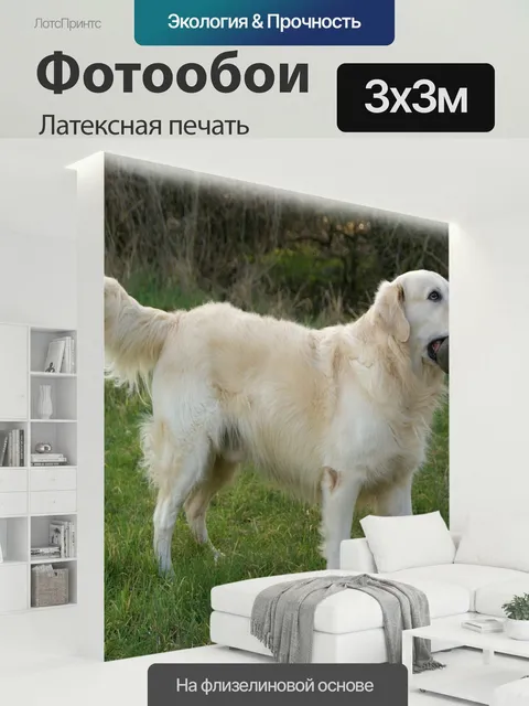 300 × 300 см · Латексная печать