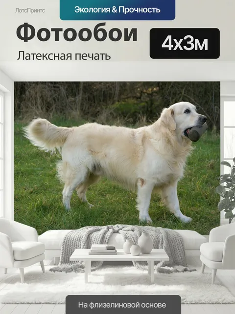 400 × 300 см · Латексная печать