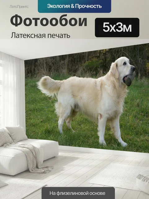 500 × 300 см · Латексная печать