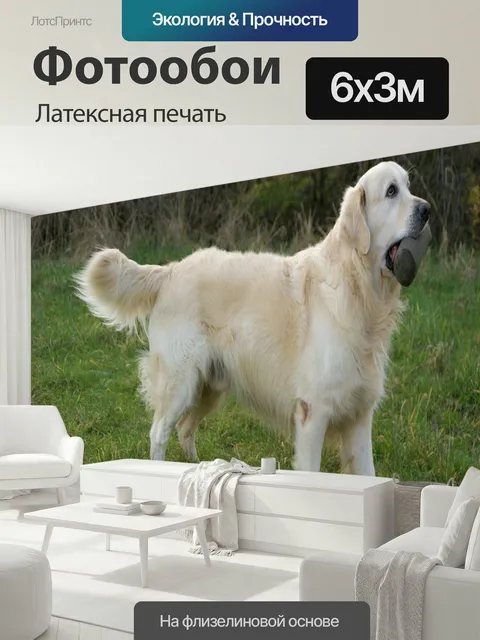 600 × 300 см · Латексная печать