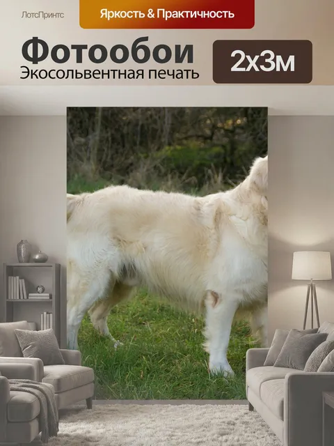 200 × 300 см · Экосольвентная печать