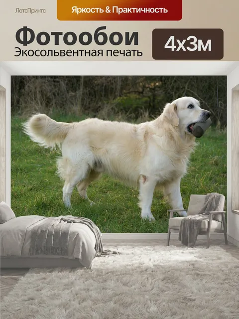 400 × 300 см · Экосольвентная печать