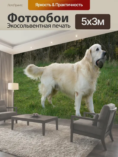 500 × 300 см · Экосольвентная печать