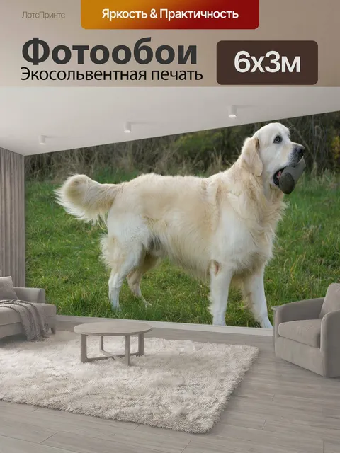 600 × 300 см · Экосольвентная печать