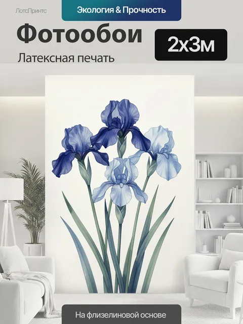 200 × 300 см · Латексная печать