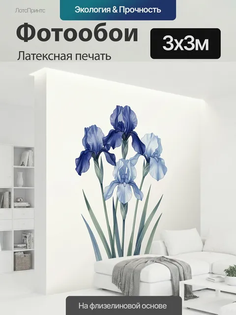 300 × 300 см · Латексная печать