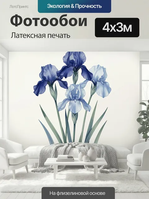 400 × 300 см · Латексная печать