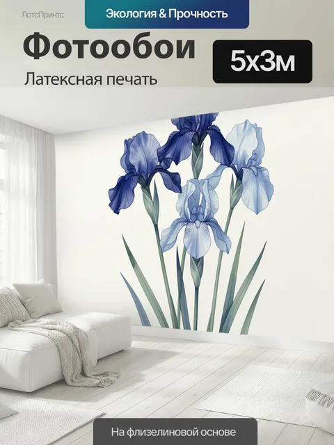 500 × 300 см · Латексная печать