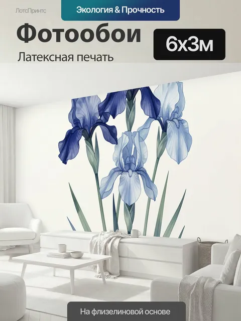 600 × 300 см · Латексная печать