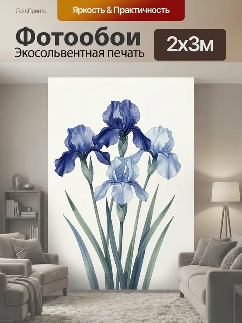 200 × 300 см · Экосольвентная печать
