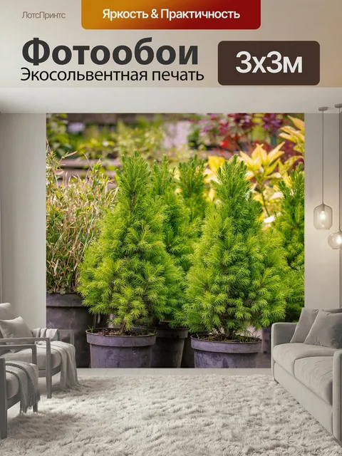 Фотообои Сад, ели, деревья