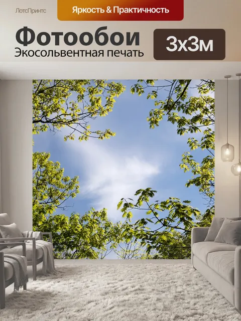 Фотообои Облака, листья, природа