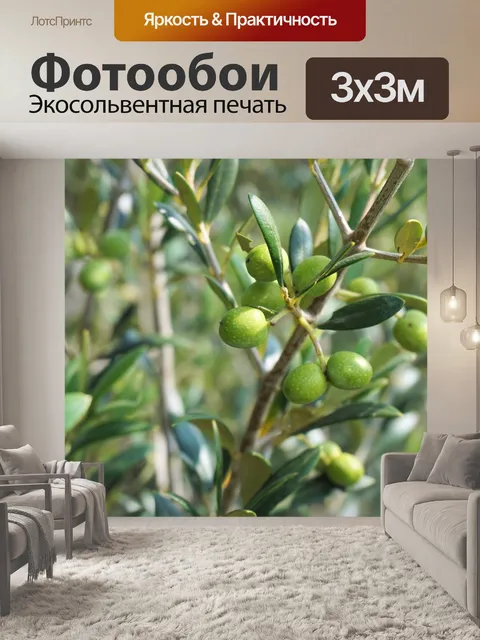 Фотообои Оливки, оливковое дерево, ветка оливы