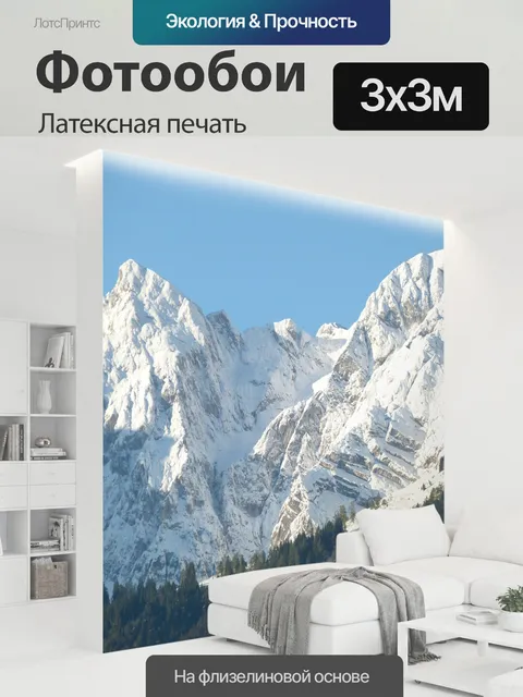300 × 300 см · Латексная печать