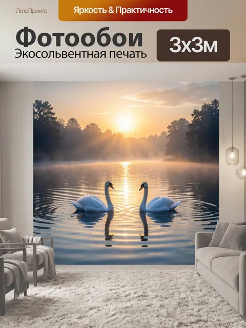 Фотообои Лебеди на озере на рассвете. Два белоснежных грациозных лебедя плывут по спокойной водной глади в туманное ут…