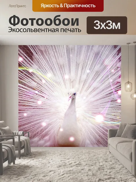 Фотообои Павлин, декоративная птица, красивая