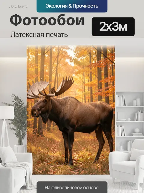 200 × 300 см · Латексная печать