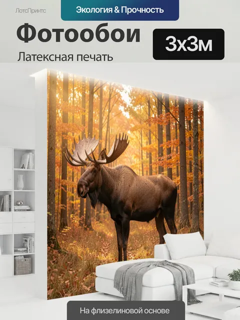 300 × 300 см · Латексная печать