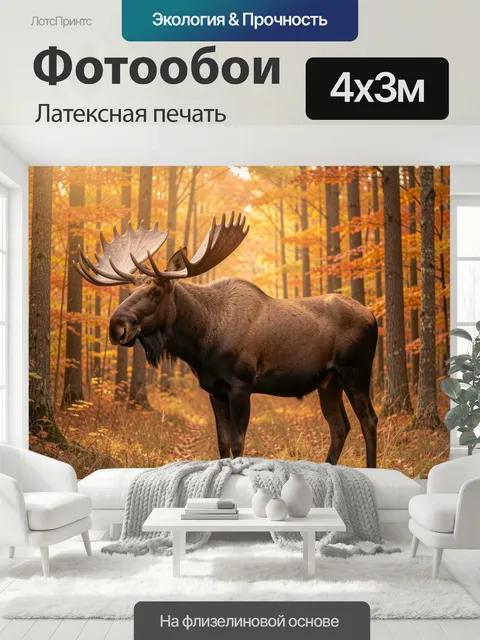 400 × 300 см · Латексная печать