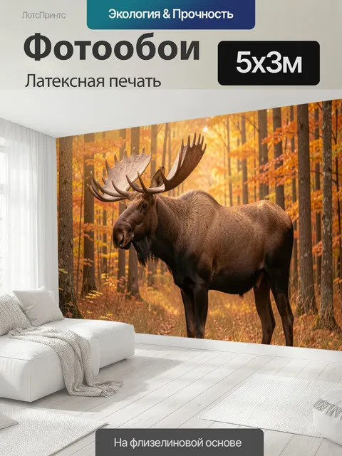 500 × 300 см · Латексная печать