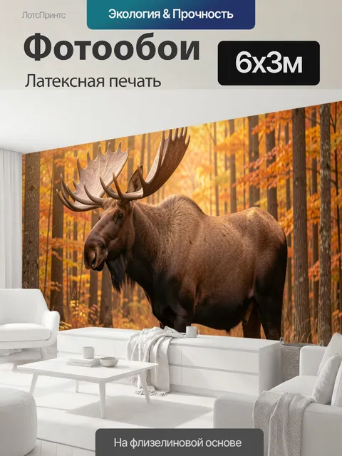 600 × 300 см · Латексная печать