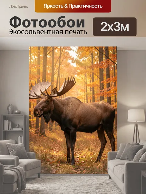 200 × 300 см · Экосольвентная печать