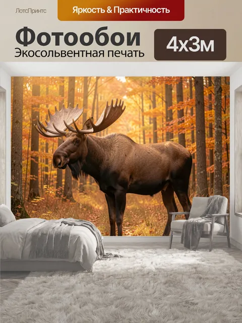400 × 300 см · Экосольвентная печать