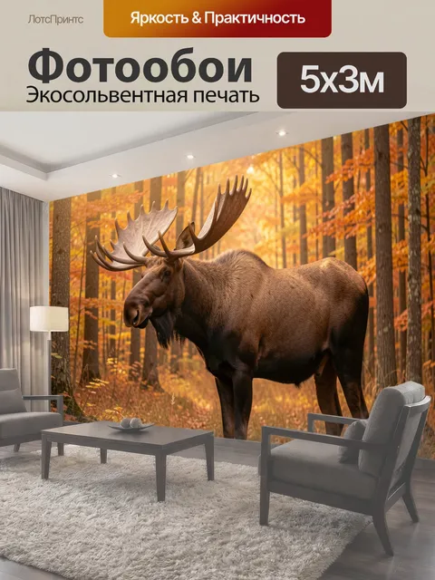 500 × 300 см · Экосольвентная печать