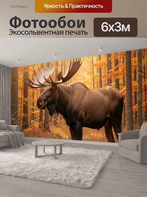 600 × 300 см · Экосольвентная печать