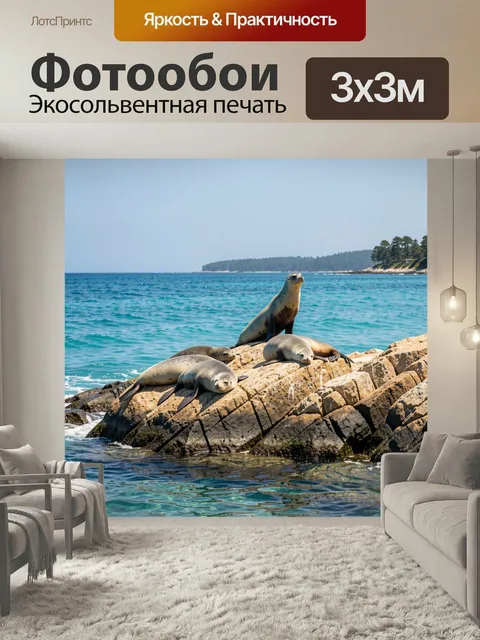 Фотообои Тюлени на морских скалах. Ластоногие отдыхают на каменистом берегу у бирюзовой воды, летний прибрежный пейзаж…