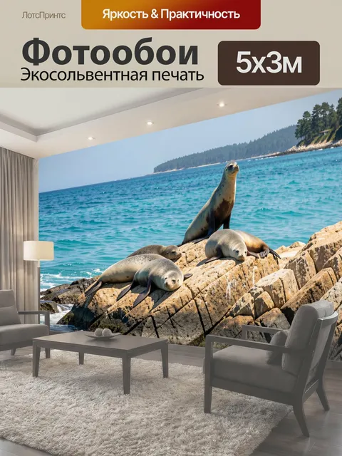 Фотообои Тюлени на морских скалах