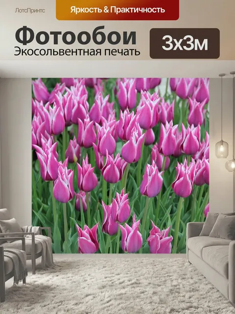 Фотообои Тюльпаны, поле, флора