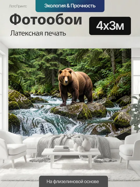 400 × 300 см · Латексная печать