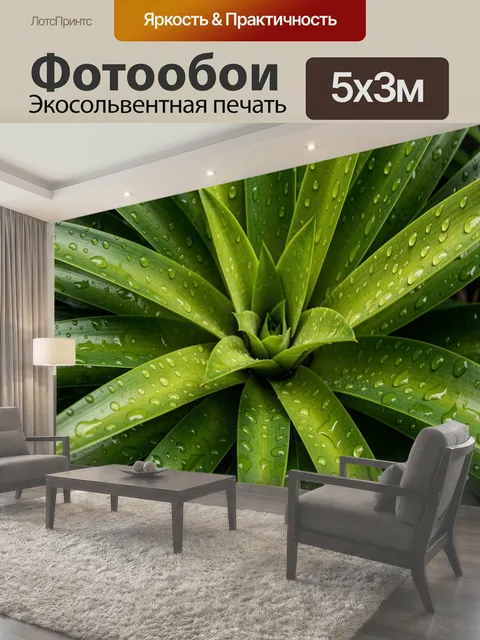 Фотообои Зеленые листья с каплями воды