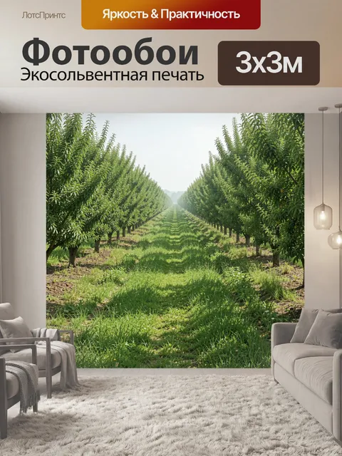 Фотообои Аллея садовых деревьев в перспективе. Ряд зеленых деревьев с ровными кронами образует глубокую перспективу в …