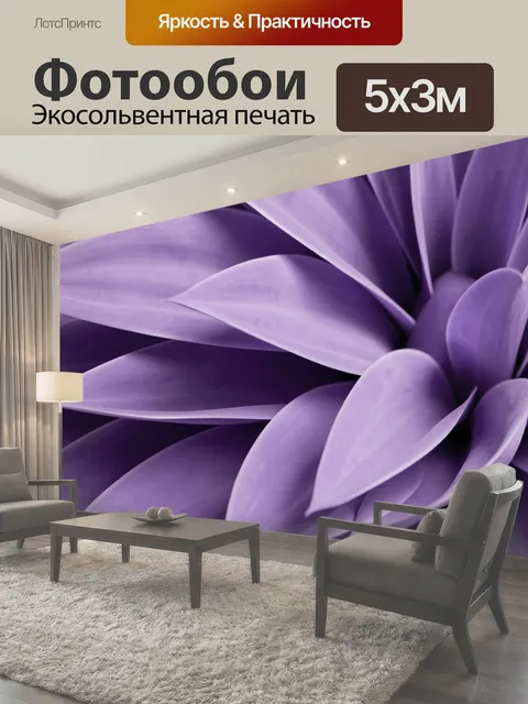 Фотообои Лиловый цветок крупным планом