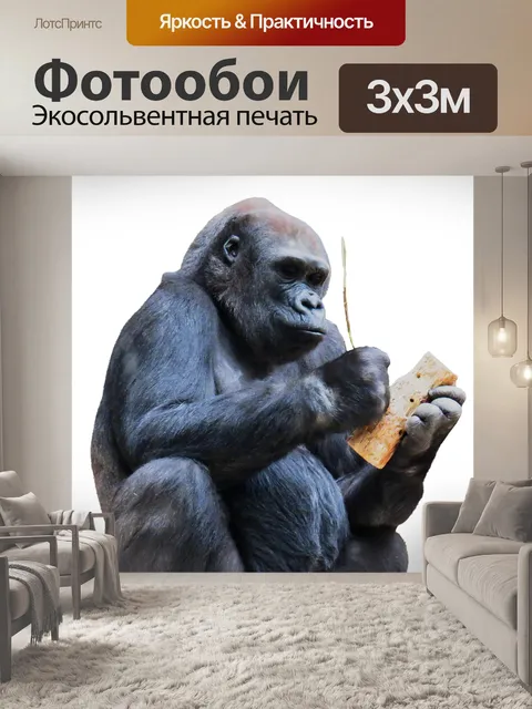 Фотообои Обезьяна, горилла, горная горилла