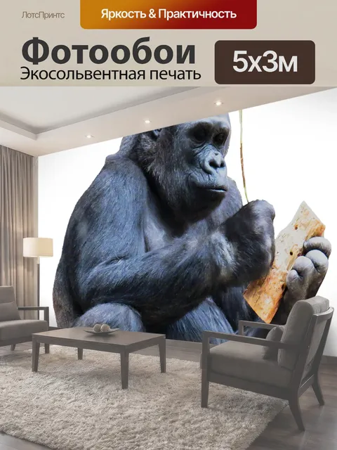 Фотообои Обезьяна, горилла, горная горилла