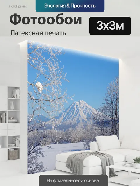 300 × 300 см · Латексная печать
