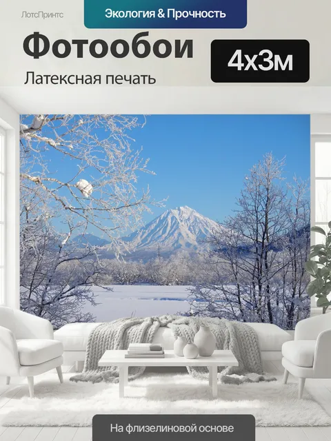 400 × 300 см · Латексная печать
